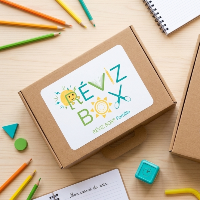 Reviz-box-famille présentation